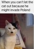 FB_IMG_1657462017914.jpg