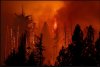 Fire2.jpg