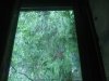 20220730_171226.jpg