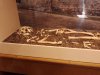 IMG_20220808_154351_987.jpg
