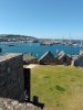 IMG_20220808_162532_313.jpg