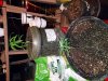 20220821_012135.jpg