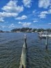 20220904_115456-01.jpeg