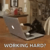 D0DF904B-A347-4D75-A983-8FB49A41717D.gif