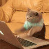 2938BB1E-16D4-4BBC-B5DD-7F35413FA5B8.gif