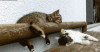 content_image_60153b405e6fd.gif