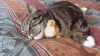 8FF7C6F8-4517-42ED-8515-70DC0F7127C6.gif