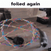D159EC01-2AA6-4563-9501-20BCB67447E2.gif