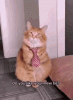 9E79E913-AF95-4556-94C4-D1496A234A5D.gif