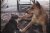 04F5A091-DC07-4903-9C5F-51F28AF0EFD7.gif