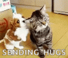 E1C2ED88-6787-4DB1-A54F-7809D1D68DEF.gif