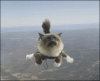 5851B5BB-7E3C-4FB4-B6B3-D4594BFD6985.gif