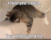 couch-5abbfeceba617700378f74dd.jpeg