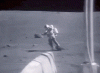 C79A6573-A842-41BA-9542-86DA60CAFE5C.gif