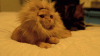 upload_2023-4-19_6-42-1.gif