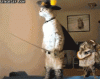 upload_2023-4-19_6-53-19.gif
