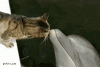 upload_2023-4-19_7-2-20.gif
