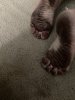 996A6858-2A78-4B78-A7B3-4578446B1D01.jpeg