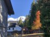 IMG_8283.jpeg