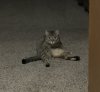 IMG_5371.jpeg