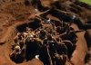 ant colony exposed.JPG