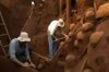 ant colony closeup.JPG