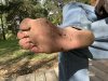 IMG_1851.jpeg