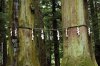 upload_2024-5-8_13-35-43.jpeg