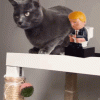 IMG_4122.gif