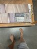 IMG_2209.jpeg