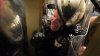 upload_2024-9-17_7-46-59.jpeg