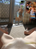 BlendPhotoEditor_1723510347477.png
