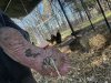 IMG_2754.jpeg