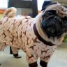 DJammies