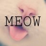 Shykittyxo