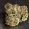 SilverHaze