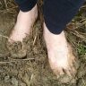 Barefoot Scout