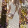 TarindaRose