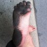 phillybarefooter