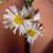 _shannon_