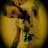Virgo sensuality