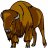 BuffaloJoe