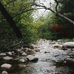 my river spot next to our old house