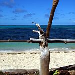 Fiji Fence