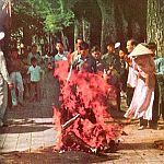Buddhist Setting Himself on Fire Protesting Vietnam War