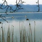 Kastoria