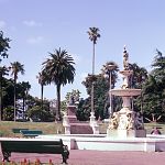 Victoria Park Auckland New Zealand 1982