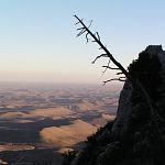 View from the top of El Capitan
