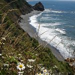 Beautiful Oregon Coast
