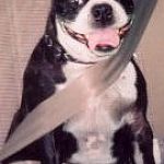 CUTE DOGGY!